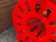 WhatsApp-Image-2024-08-23-a-1447407ae8e8d7