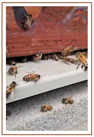 présentation produits titre2